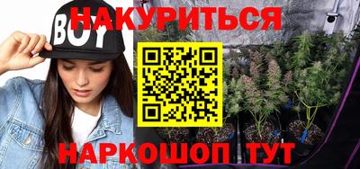 бошки Будённовск