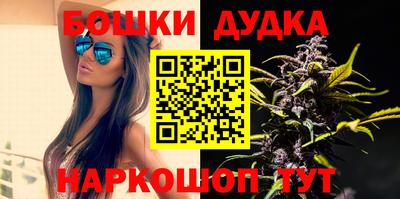 бошки Будённовск