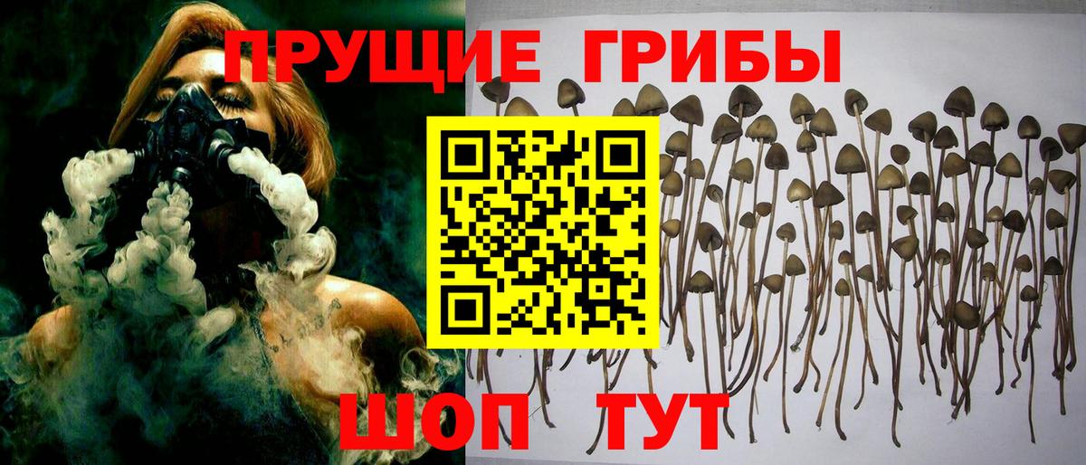 Псилоцибиновые грибы Psilocybine cubensis  Галлюциногенные грибы Magic Shrooms  Вход с VPN  Кыштым 